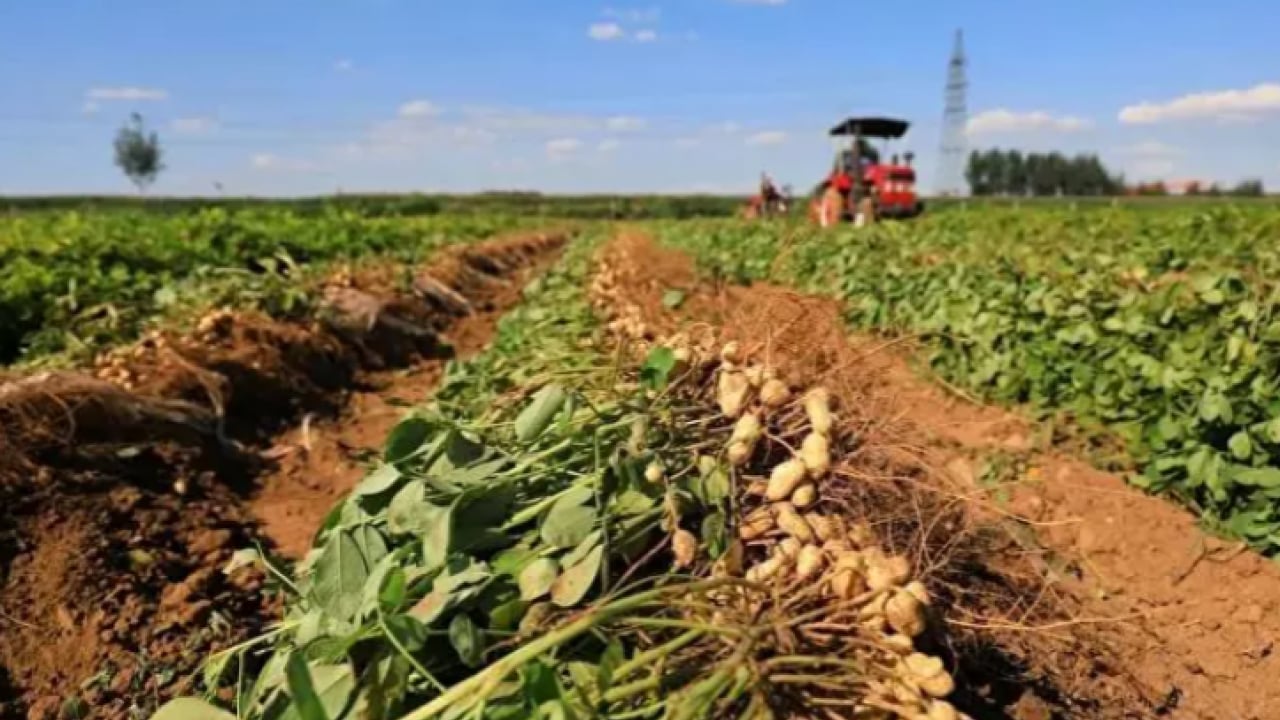 Foto - Milyonlarcası sokağa atılıyor: Şimdi servet değerinde!