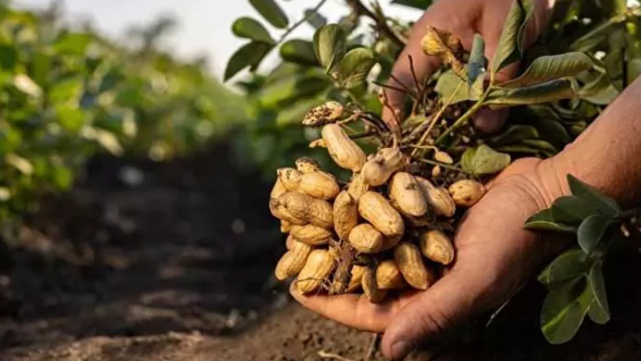 Foto - Milyonlarcası sokağa atılıyor: Şimdi servet değerinde!