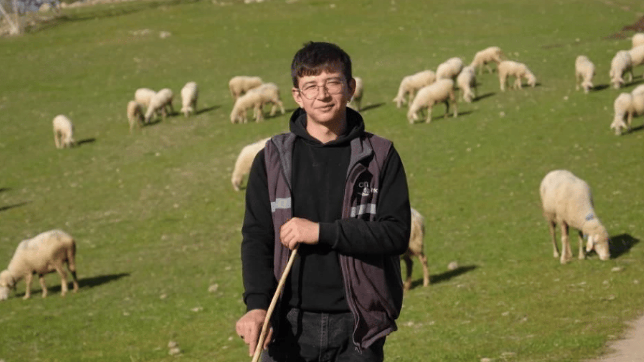 Mimarlıktan çobanlığa! 22 yaşındaki 'küpeli çoban'ın başarı hikayesi