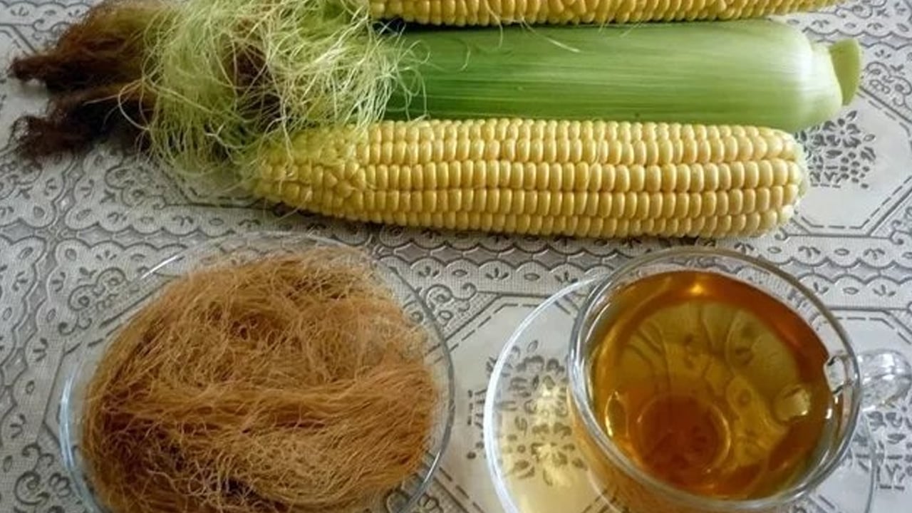 Foto - Mısır hasadı başladı! Mısır neye iyi gelir? B12 ve demir deposu... Artık marketler satıyor