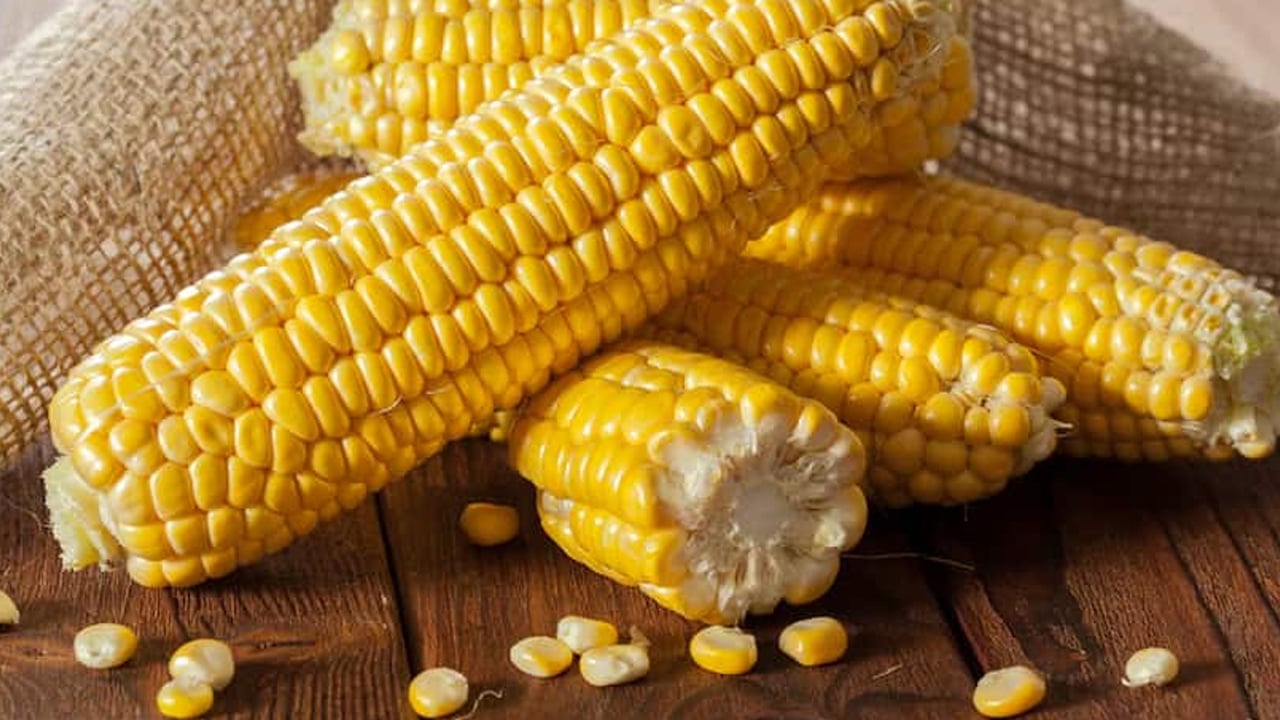 Foto - Mısır hasadı başladı! Mısır neye iyi gelir? B12 ve demir deposu... Artık marketler satıyor