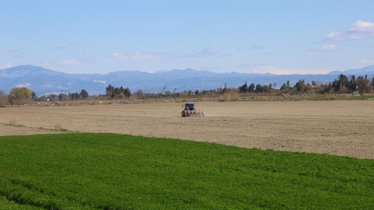 Foto - Mısır ve ayçiçeğinde bolluk beklentisi Bereketli topraklar tohumla buluştu