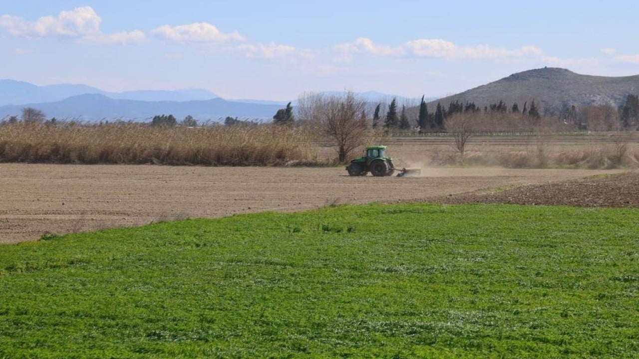 Foto - Mısır ve ayçiçeğinde bolluk beklentisi Bereketli topraklar tohumla buluştu