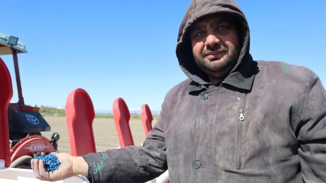 Foto - Mısır ve ayçiçeğinde bolluk beklentisi Bereketli topraklar tohumla buluştu