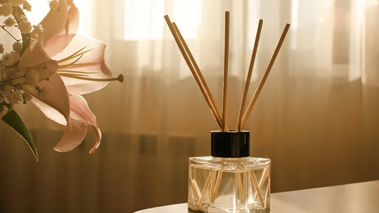 Foto - Mısır'ı hemen evden çıkarın: Evinizde varsa hemen çöpe atın! Sakın buna yeltenmeyin