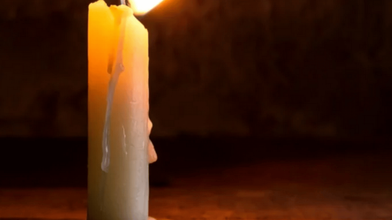 Foto - Mısır'ı hemen evden çıkarın: Evinizde varsa hemen çöpe atın! Sakın buna yeltenmeyin