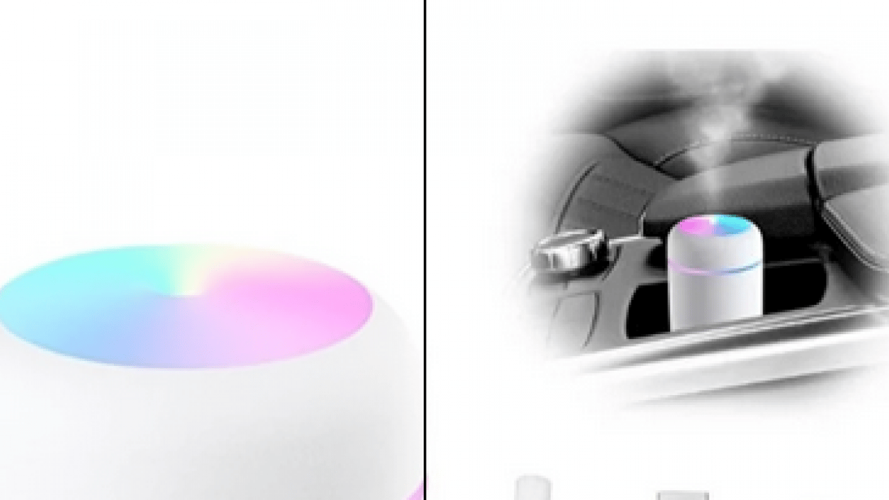 Foto - Mısır'ı hemen evden çıkarın: Evinizde varsa hemen çöpe atın! Sakın buna yeltenmeyin