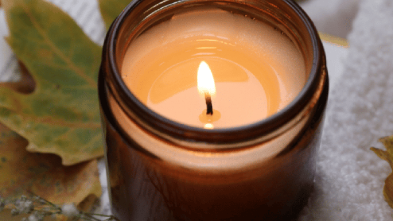 Foto - Mısır'ı hemen evden çıkarın: Evinizde varsa hemen çöpe atın! Sakın buna yeltenmeyin