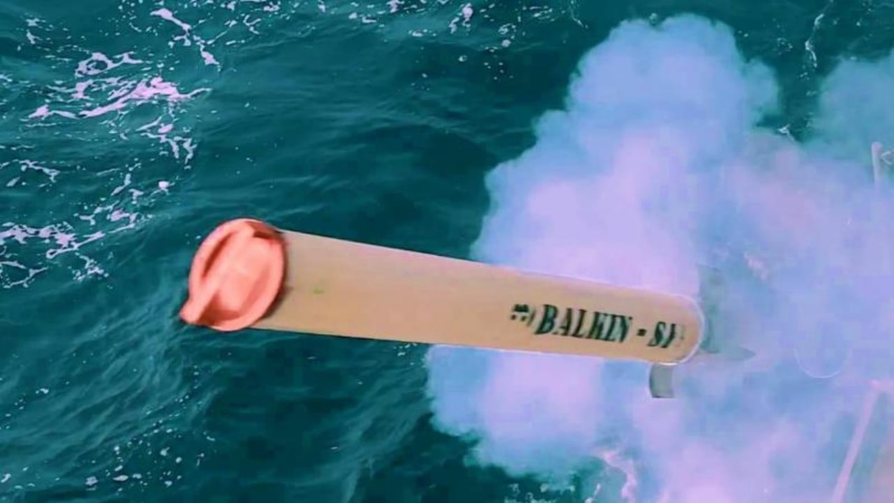 Foto - MKE’den düşman füzelerini "kör" eden teknoloji! Denizlerin görünmez kalkanı BALKIN, havada keklik gibi avlayacak