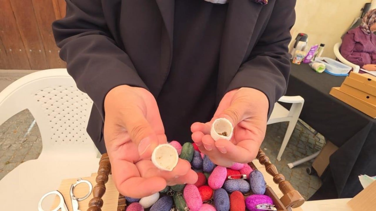 Foto - ‘Mor Cepken’ geleneği ipek kozalarla geleceğe taşınıyor