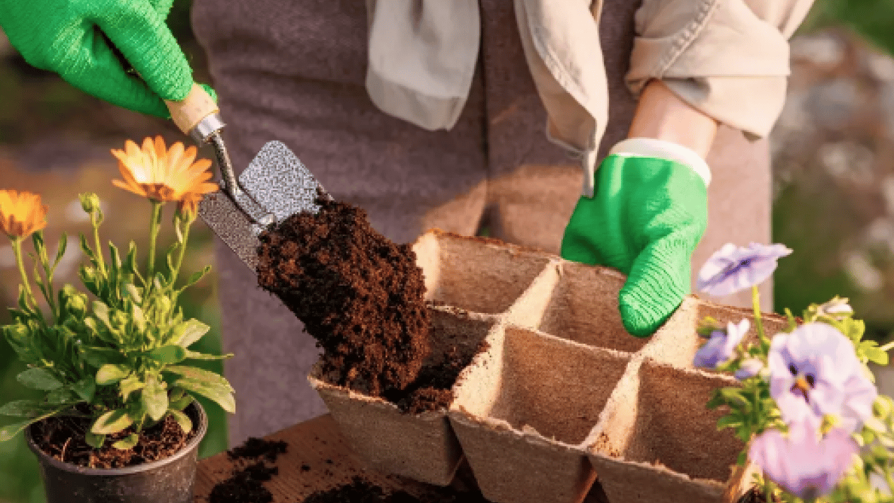 Muazzam bir görsel şölene hazır mısınız? Mart ayında hangi çiçekler ekilir?