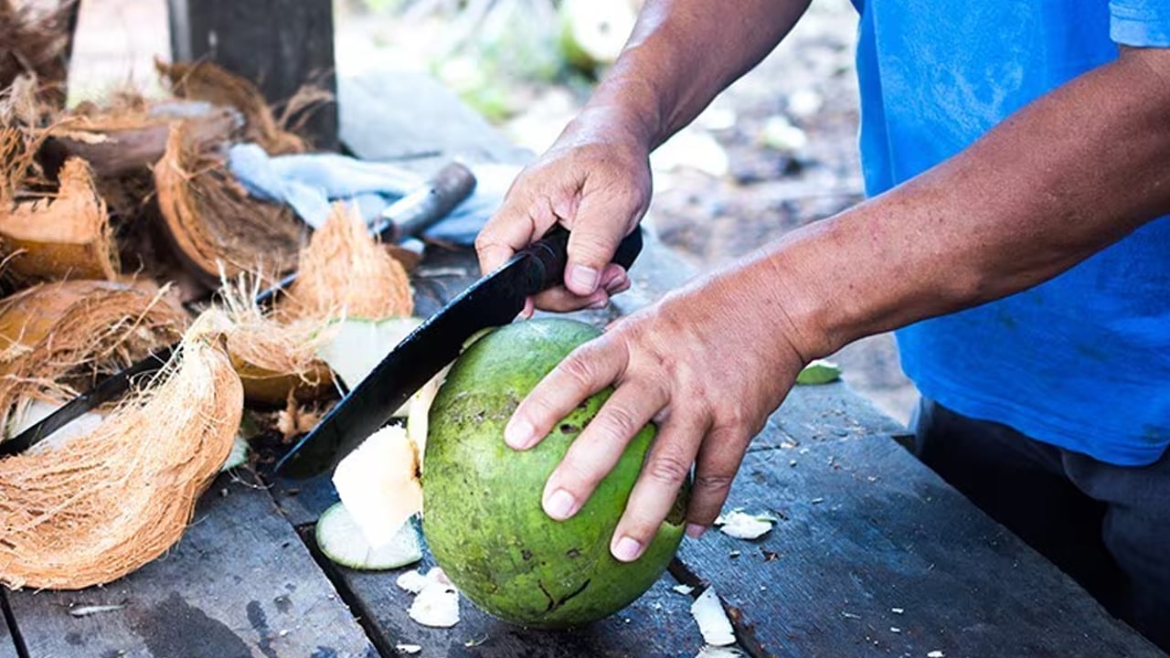 Foto - Boyadan yanan saç için bazı farklı ev tarifleri: Bunu yapın etkili olacak! İşte bilinmeyen ev yapımı tarifler