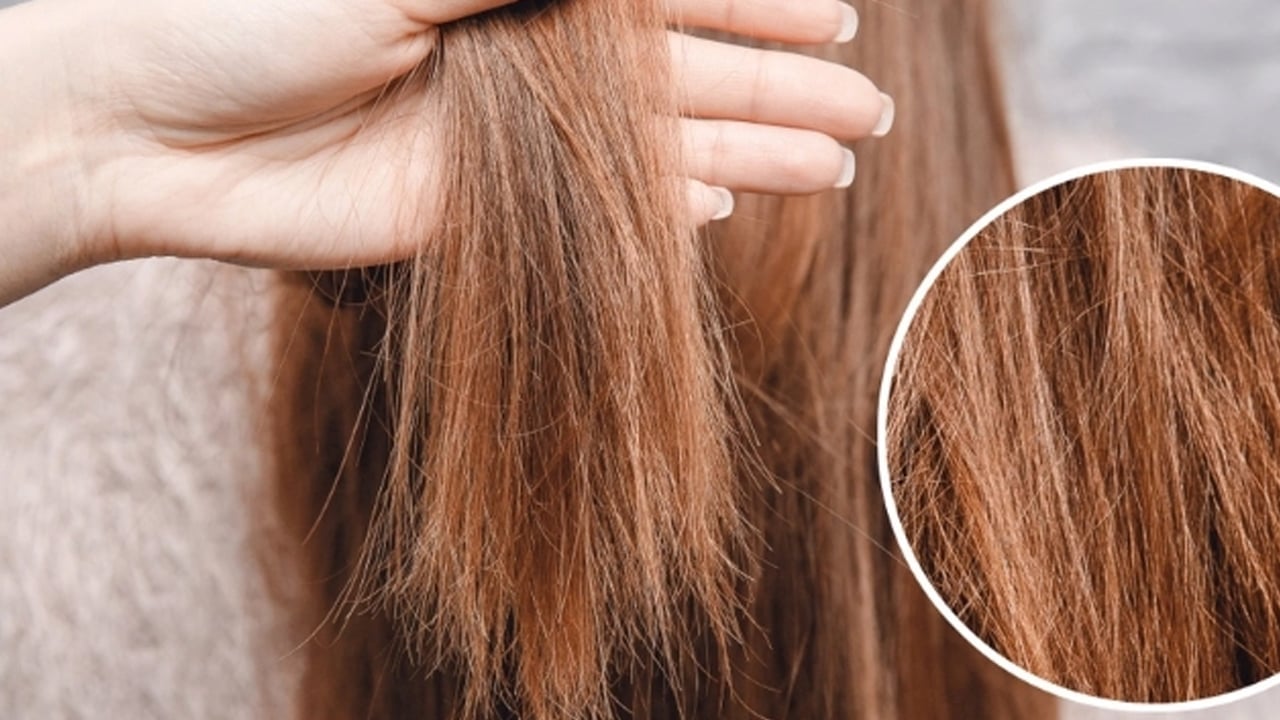 Boyadan yanan saç için bazı farklı ev tarifleri: Bunu yapın etkili olacak! İşte bilinmeyen ev yapımı tarifler