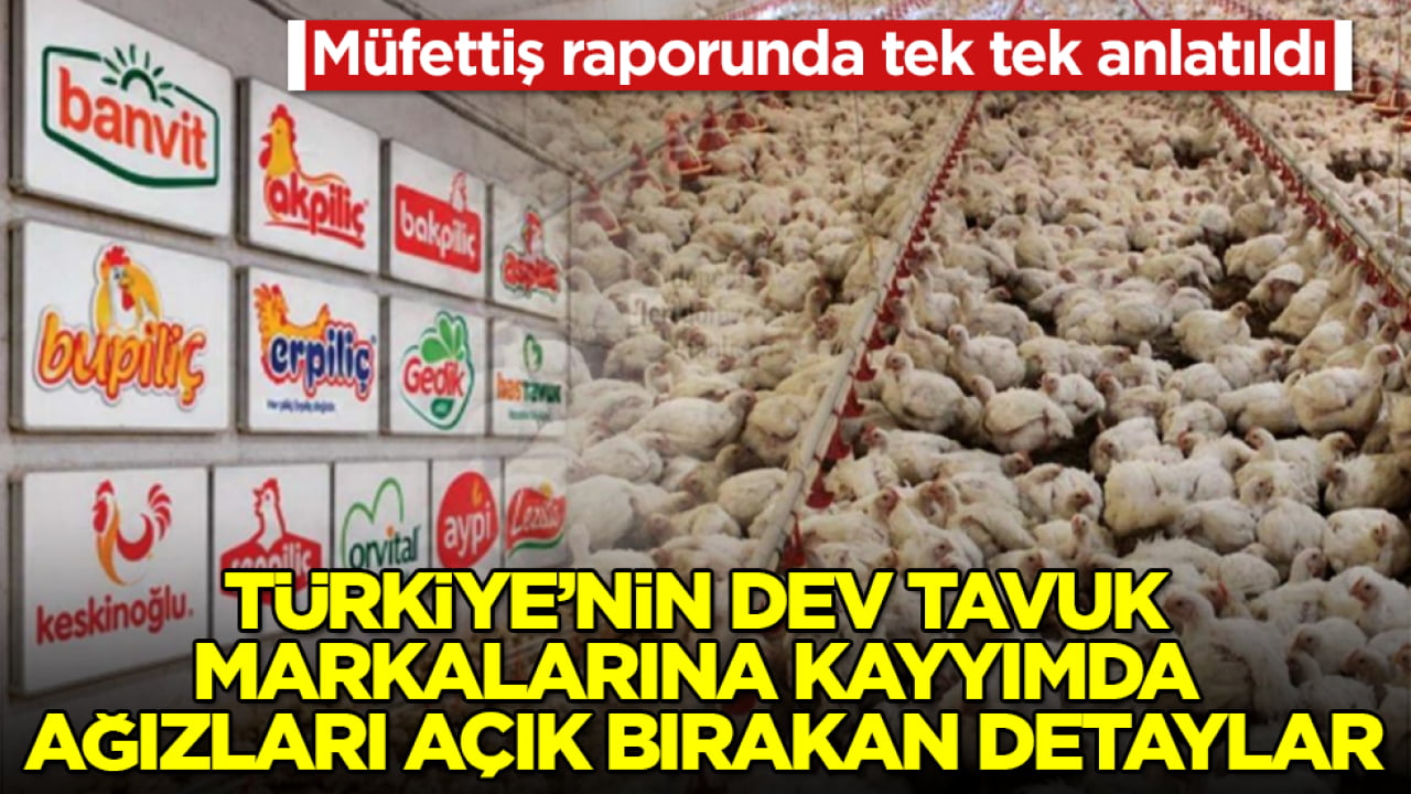 Müfettiş raporunda tek tek anlatıldı! Türkiye’nin dev tavuk markalarına kayyımda ağızları açık bırakan detaylar