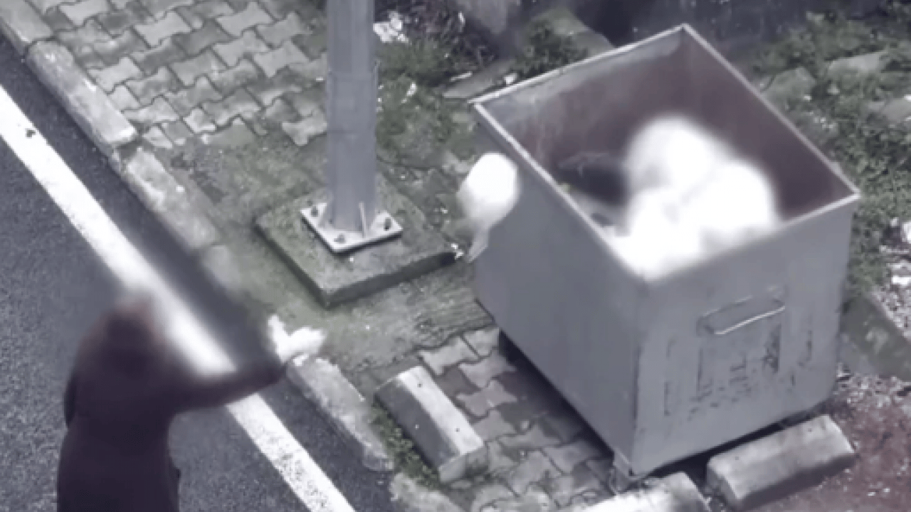 Foto - Müge Anlı'nın ortaya çıkardığı dehşet evi: Açlıktan bir deri bir kemik kalmış!