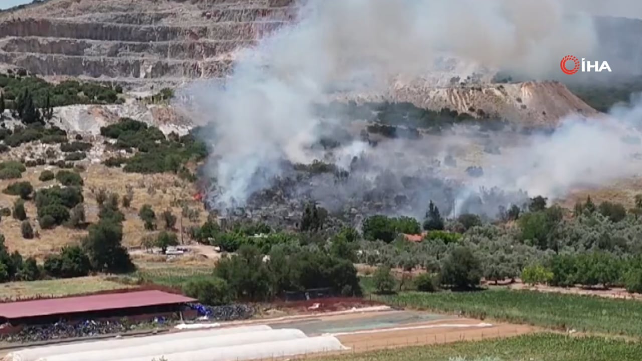 Foto - Muğla'dan iyi haber geldi