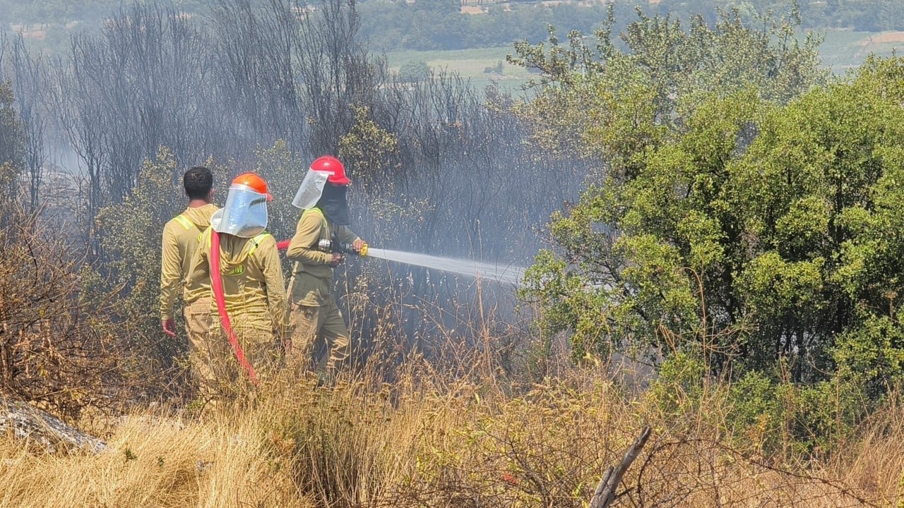 Foto - Muğla'dan iyi haber geldi