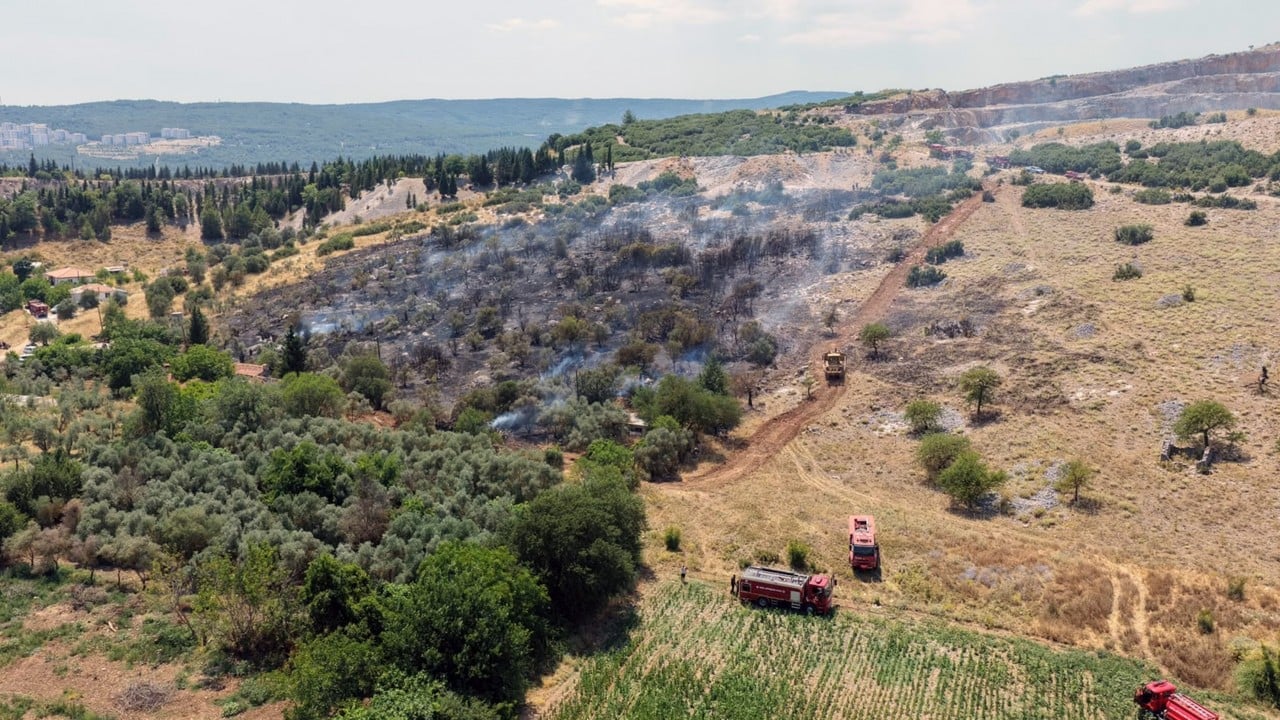 Foto - Muğla'dan iyi haber geldi