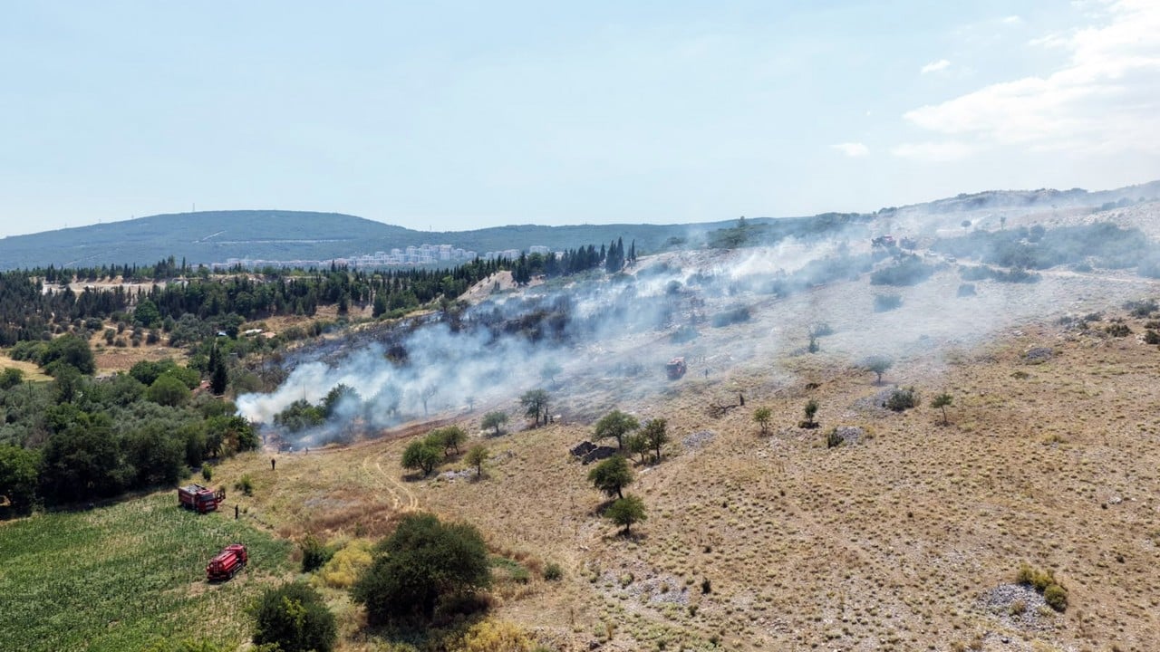 Foto - Muğla'dan iyi haber geldi