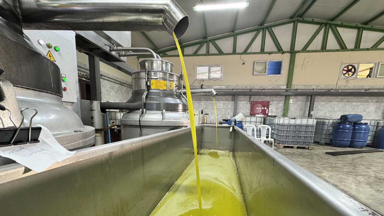 Muhtar istihdam sağladı! Devlet desteğiyle kurulan tesis, köyün kaderini değiştirdi