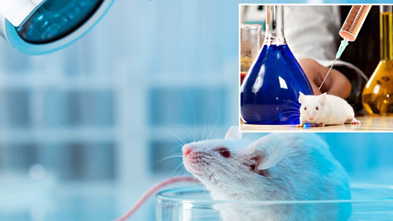 Foto - Daha fazla egzersiz yapmak kanser karşı riskini azaltır! Resmen yeniden araştırdılar