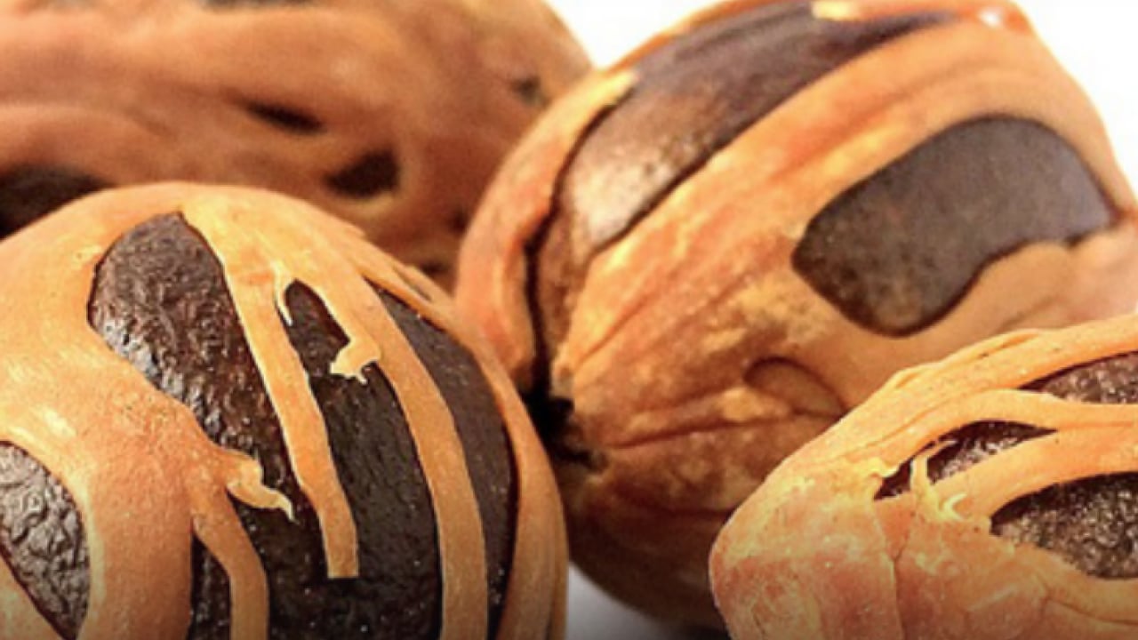 Foto - Muskat: Ara ara tüketin, çok kilit rol oynuyor! Uyurken de bize de destek! Desteği pes dedirtti, duyan inanamadı