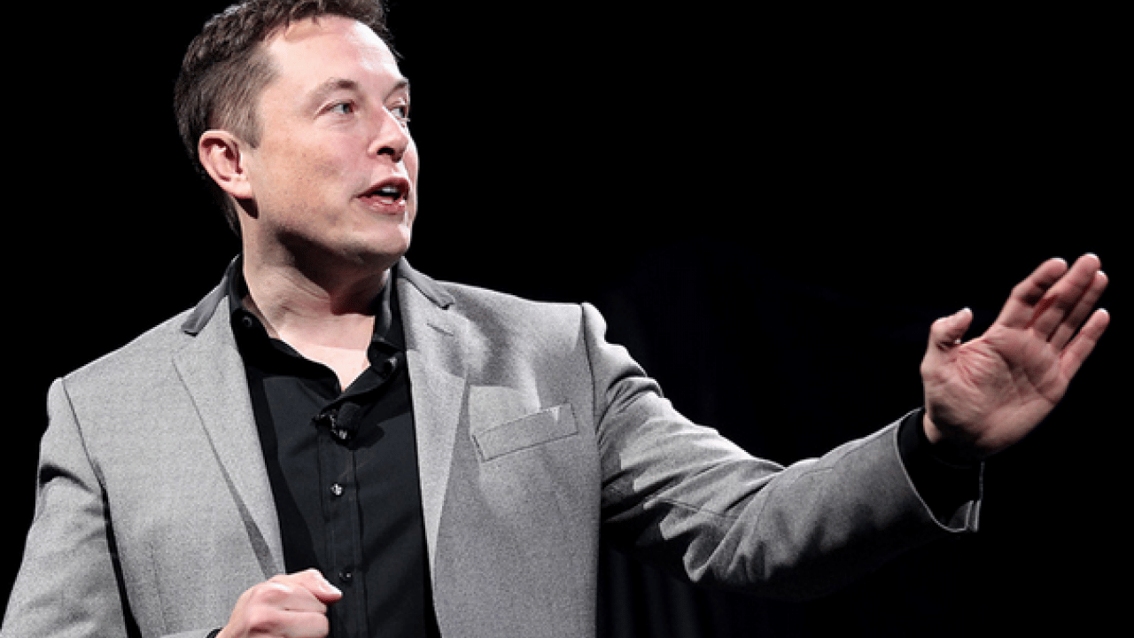 Musk'ın yapay zeka destekli alternatifi 'Grokipedia' hizmete girdi! Wikipedia'ya rakip olabilir mi? Önemli bir gelişme