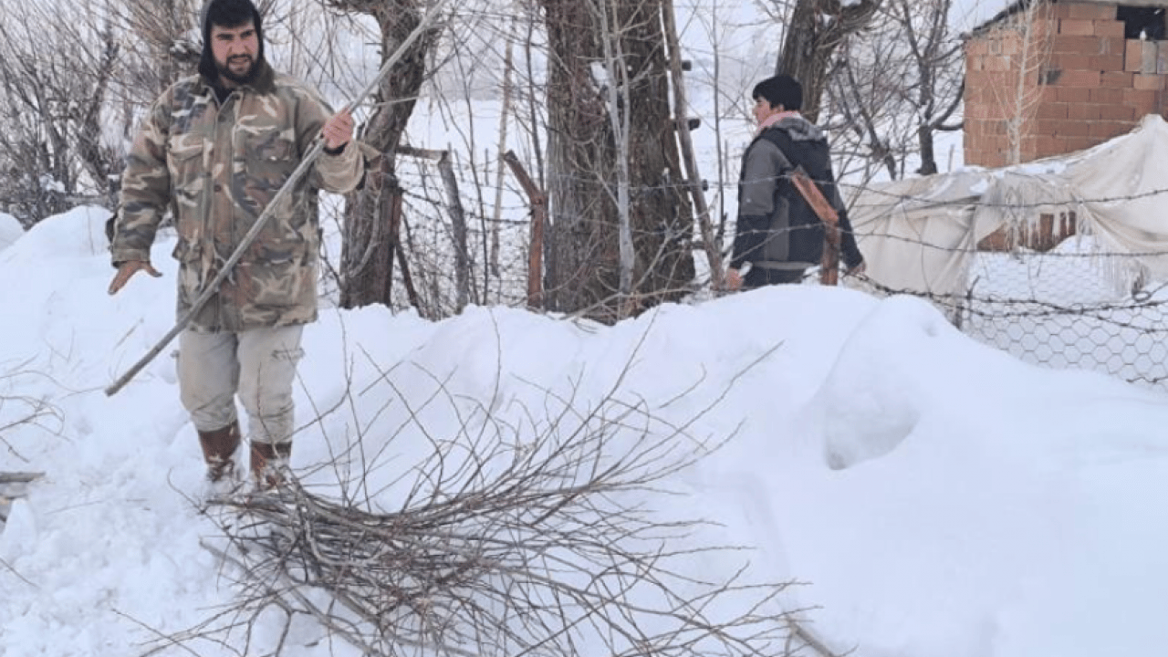 Foto - Muşlu besicilerden şaşırtan yemleme yöntemi