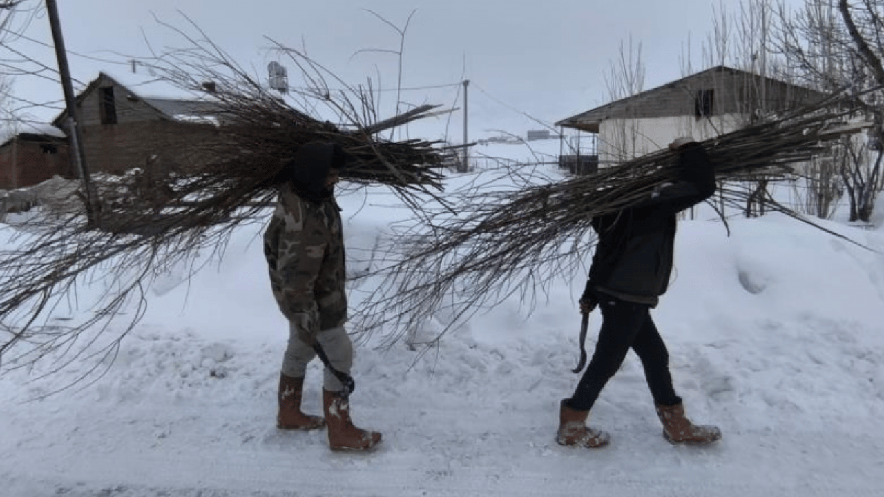 Foto - Muşlu besicilerden şaşırtan yemleme yöntemi