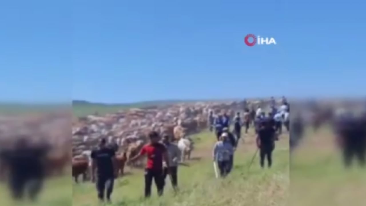 Foto - Muş’ta meralar paylaşılamadı! İki köy silahlarla birbirine girdi!