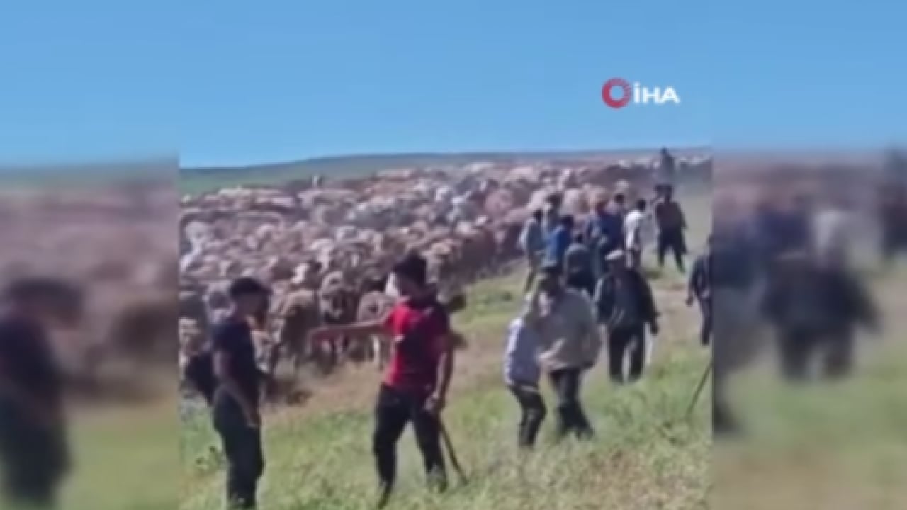 Muş’ta meralar paylaşılamadı! İki köy silahlarla birbirine girdi!