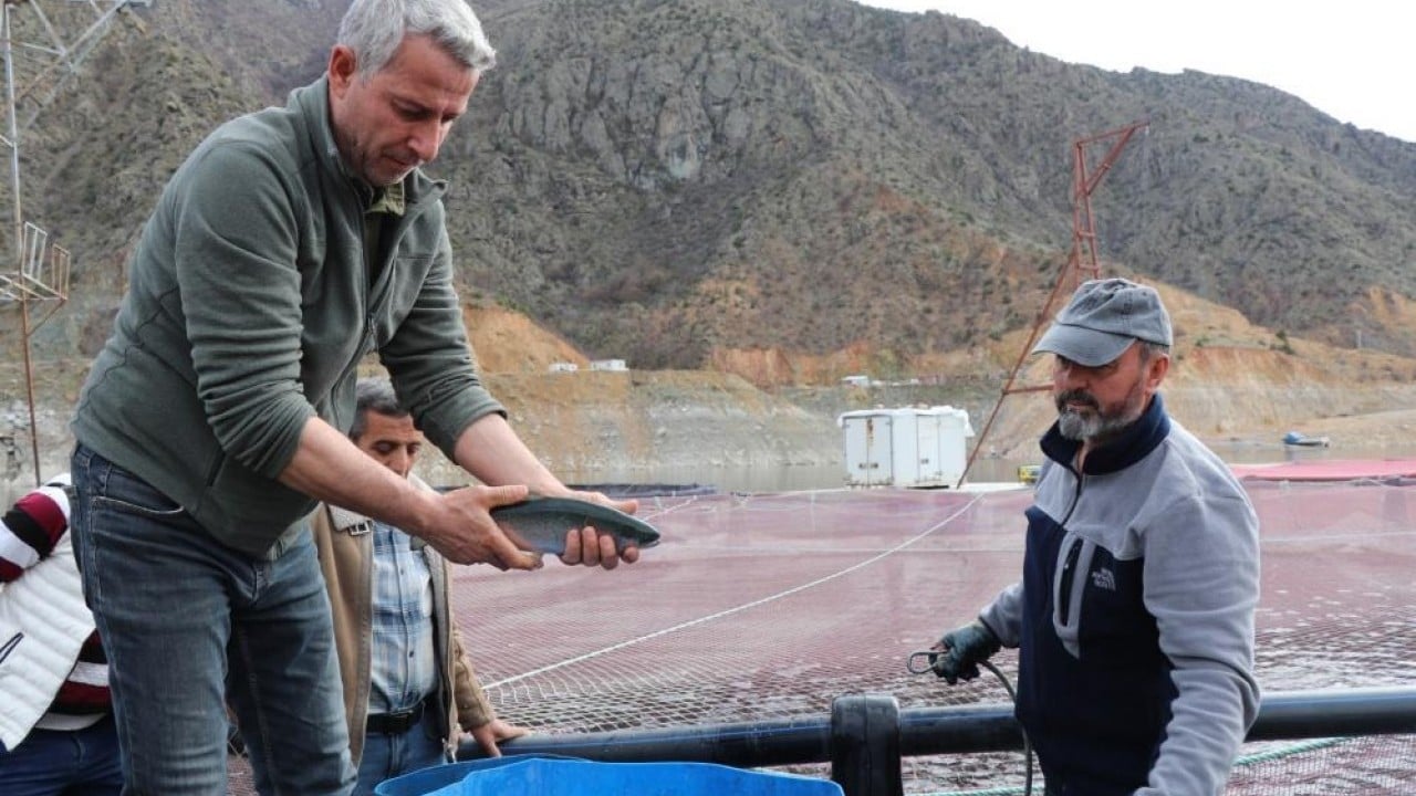 Foto - Müşterisi Rusya ve Japonya Denizi yok ama 300 ton balığı var
