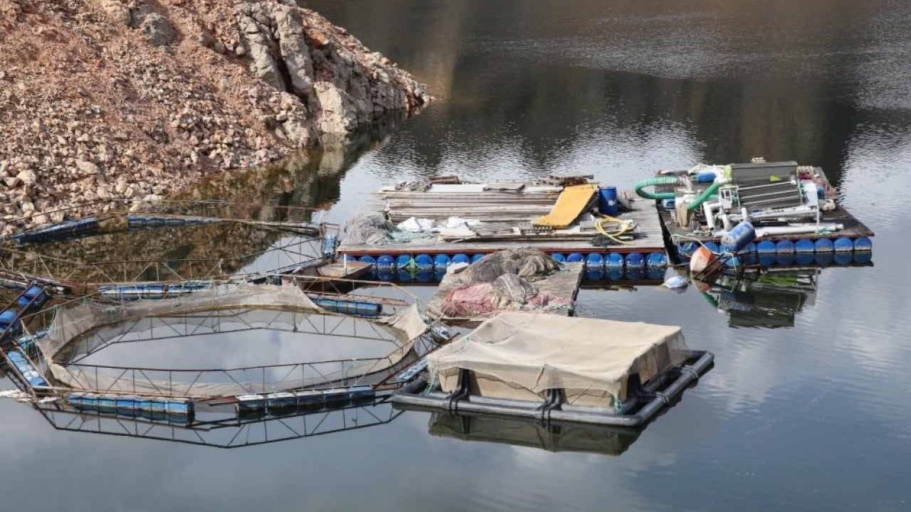 Foto - Müşterisi Rusya ve Japonya Denizi yok ama 300 ton balığı var