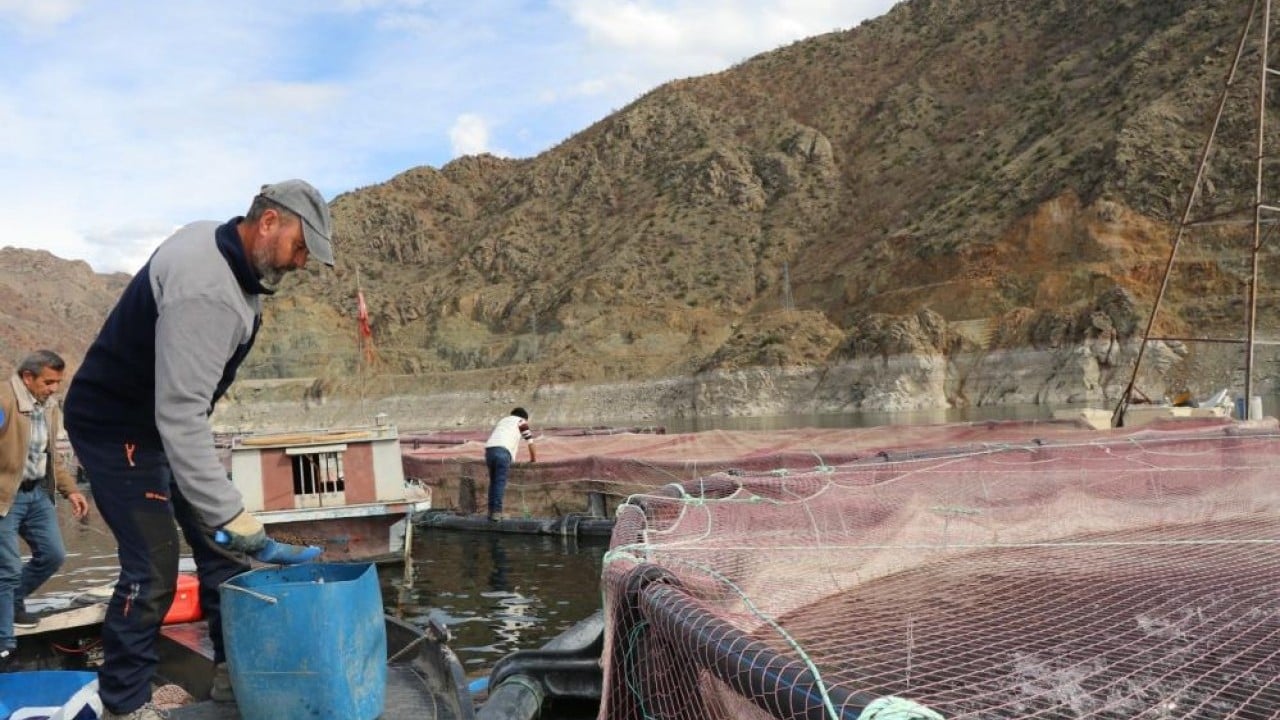 Foto - Müşterisi Rusya ve Japonya Denizi yok ama 300 ton balığı var