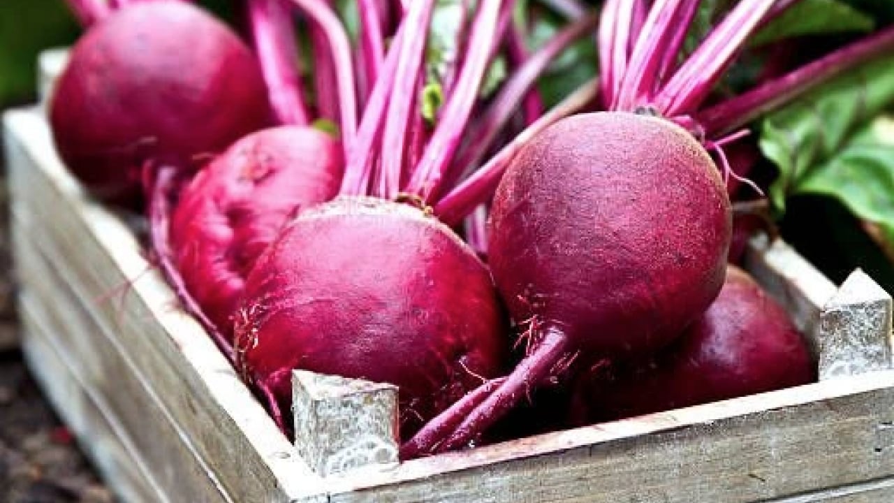 Foto - Mutfağın kahramanı! Meğer bu kadar doğal dopingmiş: sadece bir tane yiyenin vücudu bayram ediyor