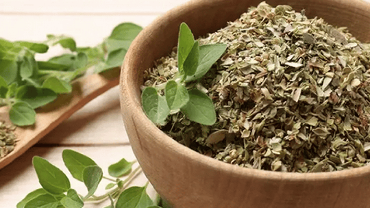 Foto - Mutfak dolabınızda bekleyen o küçük kavanoz... Doğal antibiyotik meğer bu baharatmış! 