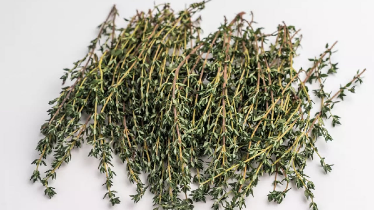 Foto - Mutfak dolabınızda bekleyen o küçük kavanoz... Doğal antibiyotik meğer bu baharatmış! 