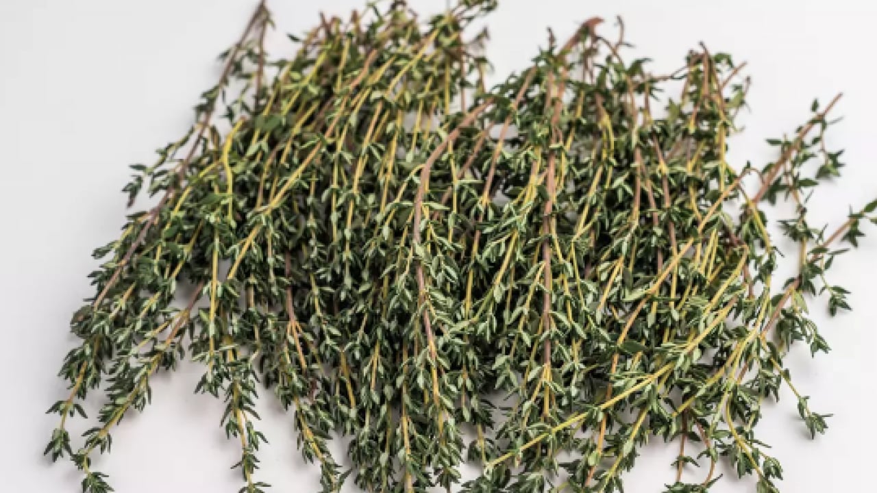 Foto - Mutfak dolabınızda bekleyen o küçük kavanoz... Doğal antibiyotik meğer bu baharatmış! 