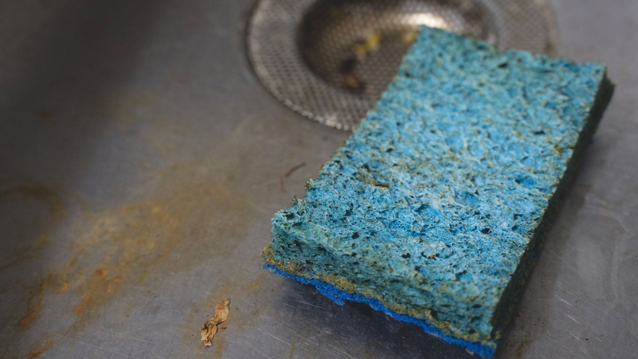 Foto - Mutfakta gizli tehlike! Hemen çöpe atmanız gerekiyor