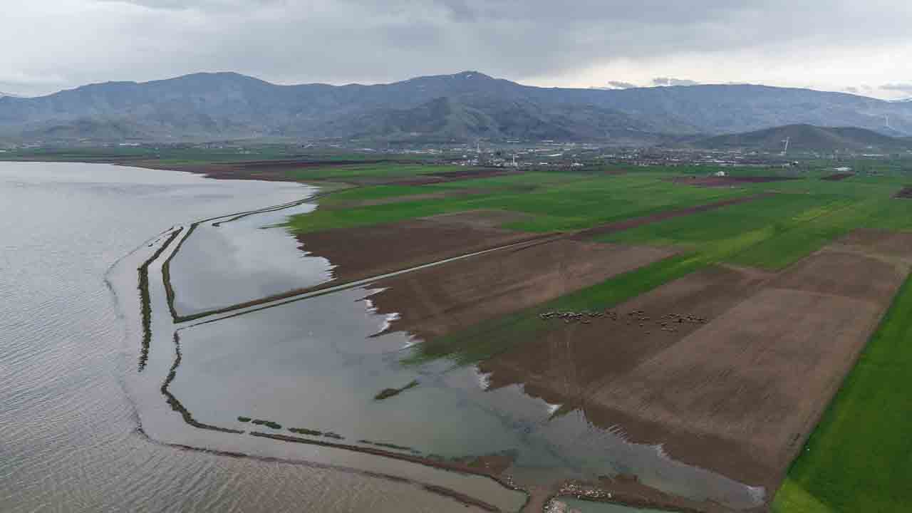 Foto - Müthiş değişim fotoğraflara yansıdı: 7 yılda nereden nereye