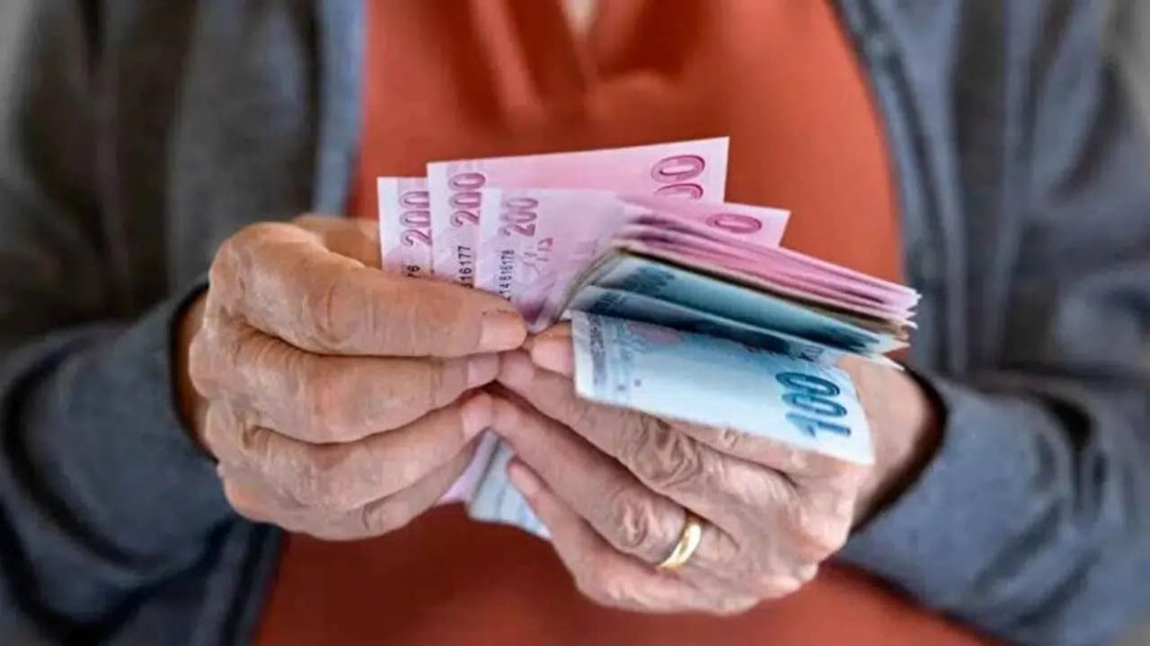 Foto - Mutlaka ama mutlaka e-Devlet’ten kontrol edin! Bu hata emekliliğinizi yakabilir