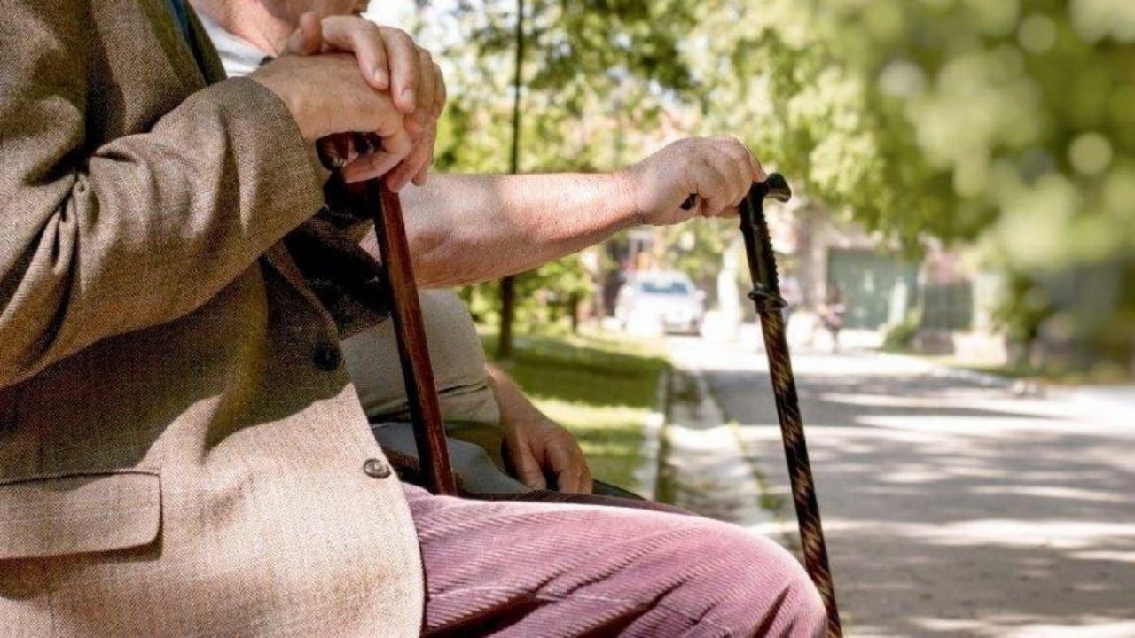 Foto - Mutlaka ama mutlaka e-Devlet’ten kontrol edin! Bu hata emekliliğinizi yakabilir