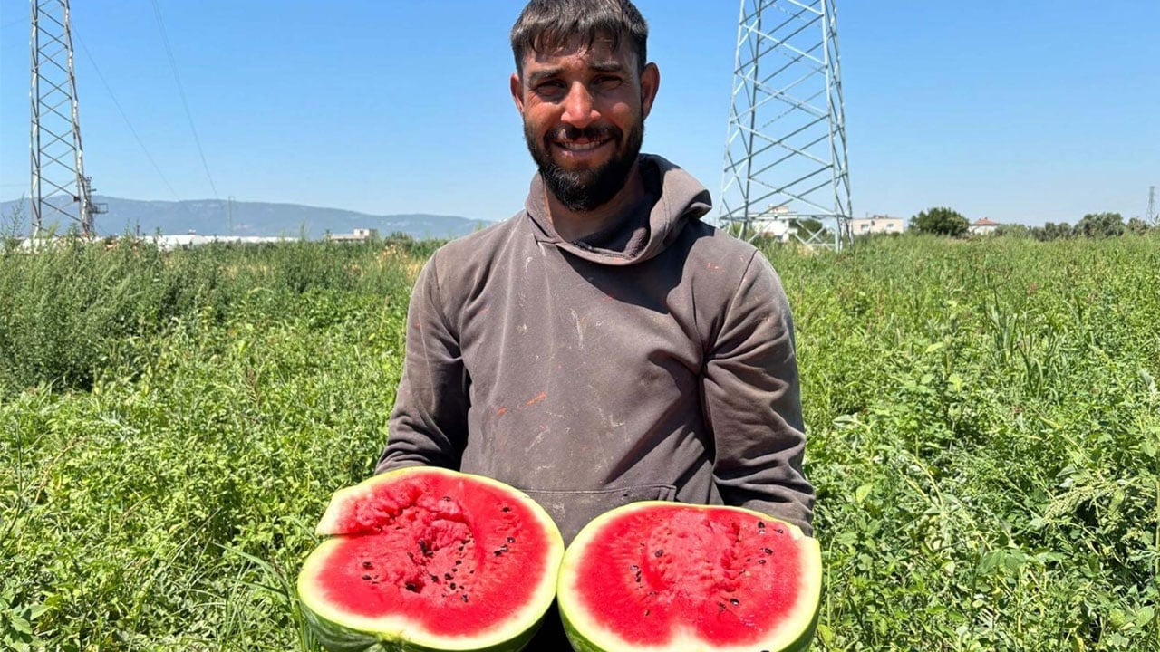 Foto - Mutlaka bir yere not alın, işinize yarayacak! İşte en iyi karpuzu seçmenin sırrı