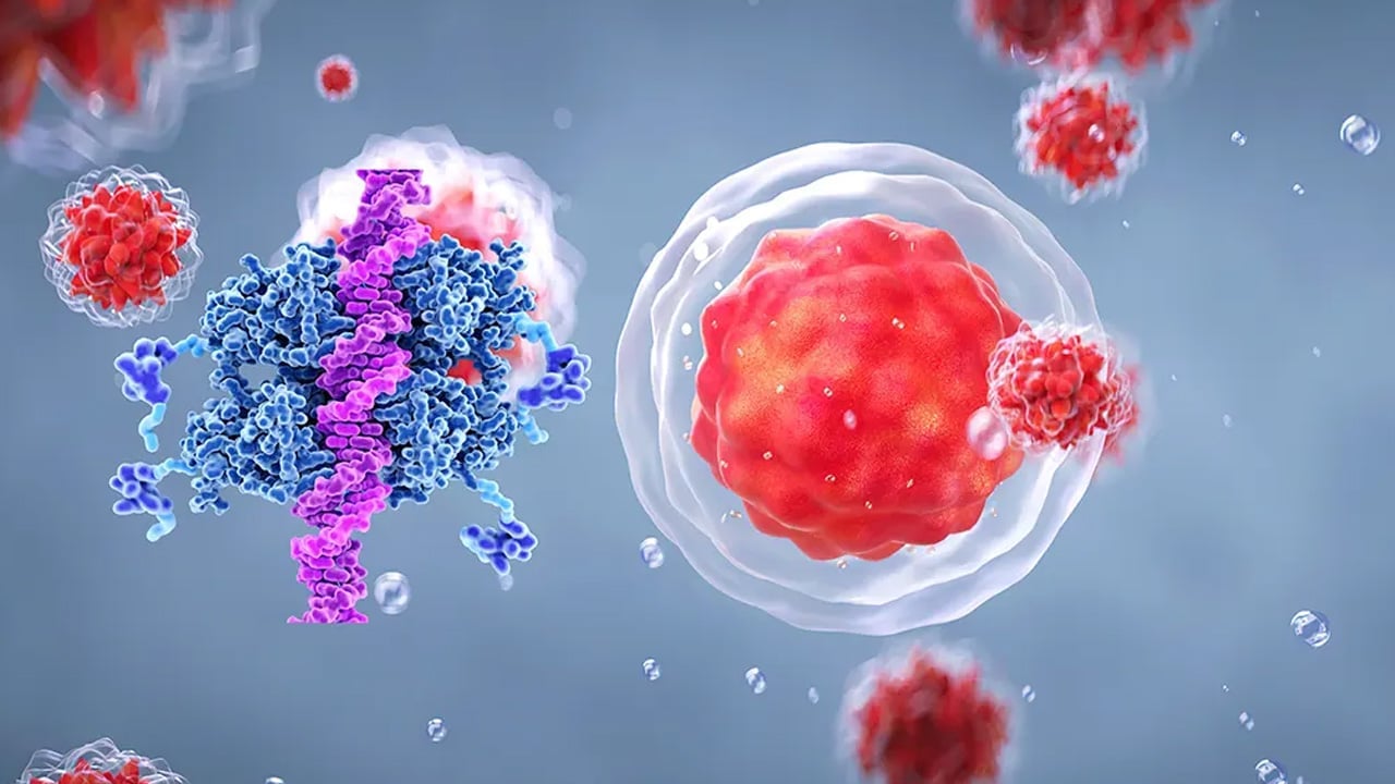 Foto - Mutlaka deneyin: Omega-3 yağ asitlerini kullanarak kanser hücrelerinin yapısını yeniden düzenlemek mümkün