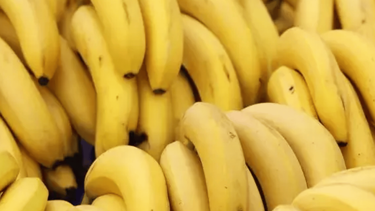 Foto - Muz yerken büyük hata uzmanı uyardı: Onları çöpe sakın çıkarmayın! Bunu bize hiç böyle anlatmadılar demeyin