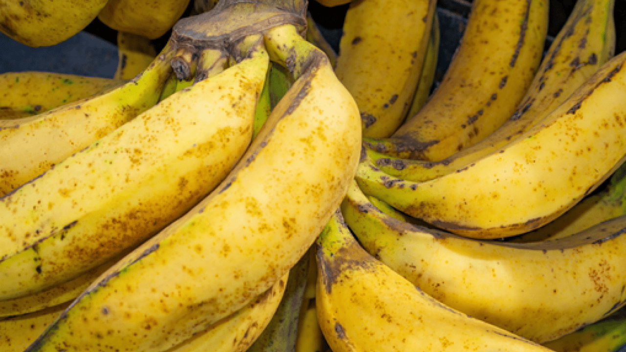 Foto - Muz yerken büyük hata uzmanı uyardı: Onları çöpe sakın çıkarmayın! Bunu bize hiç böyle anlatmadılar demeyin