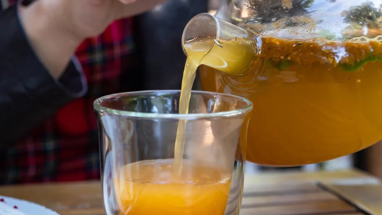 Foto - Nadir kullanılıyor ama antik huzurun anahtarı kombucha çayı: Tam bir hazine! Antik Çin'in tarihi ilacı 