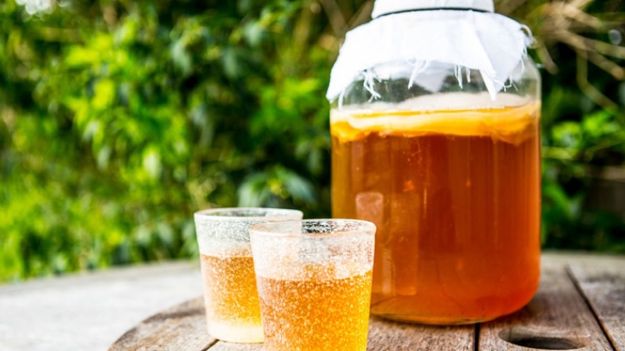 Foto - Nadir kullanılıyor ama antik huzurun anahtarı kombucha çayı: Tam bir hazine! Antik Çin'in tarihi ilacı 
