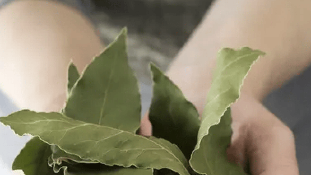 Foto - Naftalinin kimyasal kokusu yerine... Kışlıkları kaldırırken sakın yapmayın!