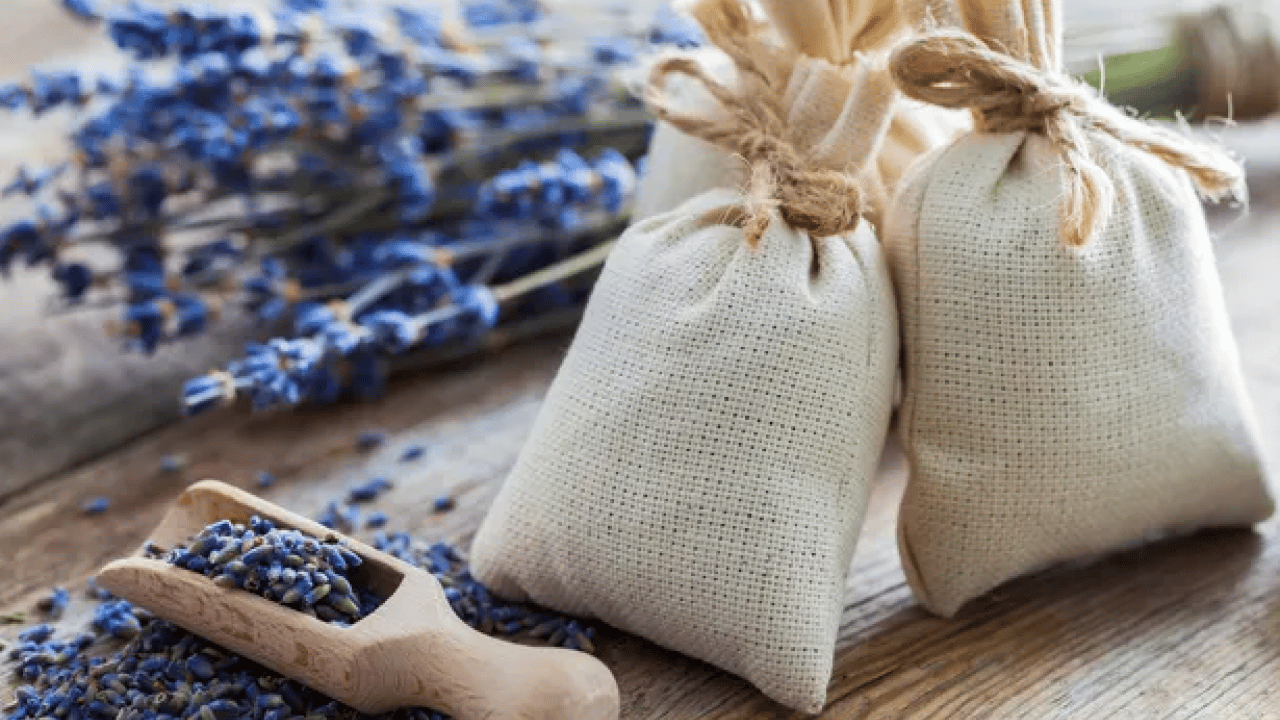 Foto - Naftalinin kimyasal kokusu yerine... Kışlıkları kaldırırken sakın yapmayın!